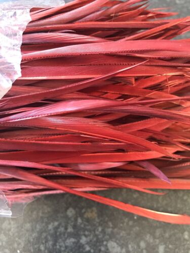 Goose Biot Feathers Burgundy 15cm - Picture 1 of 1