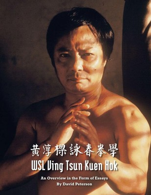 WSL Ving Tsun Kuen Hok An Overview in the Form of Essays David Peterson Buch