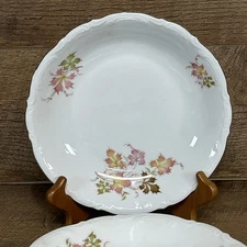 3 mitterteich autumn leaves 8” salad plates-Made in germany