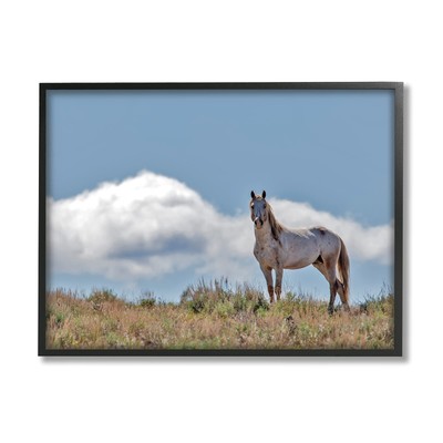 Wild Horse Standing Strong Along Daytime Cloudy Sky, Designed by Larry McFerr...
