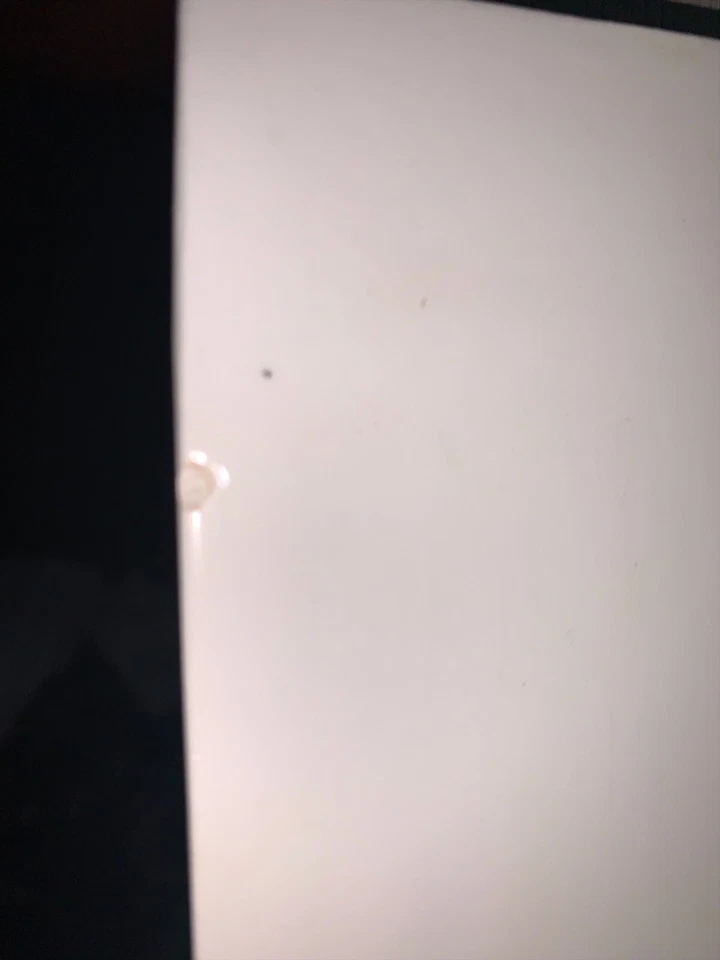 Crate & Barrel Set Of 2 Ceramic Snowflake Trivet Made in Italy Ceramica Stefani - Image 3 of 4