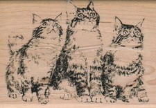 Kitty Trio Looking Up 2 3/4 x 4" Rubber Stamp, Cat Stamp, Cat Lover Stamp