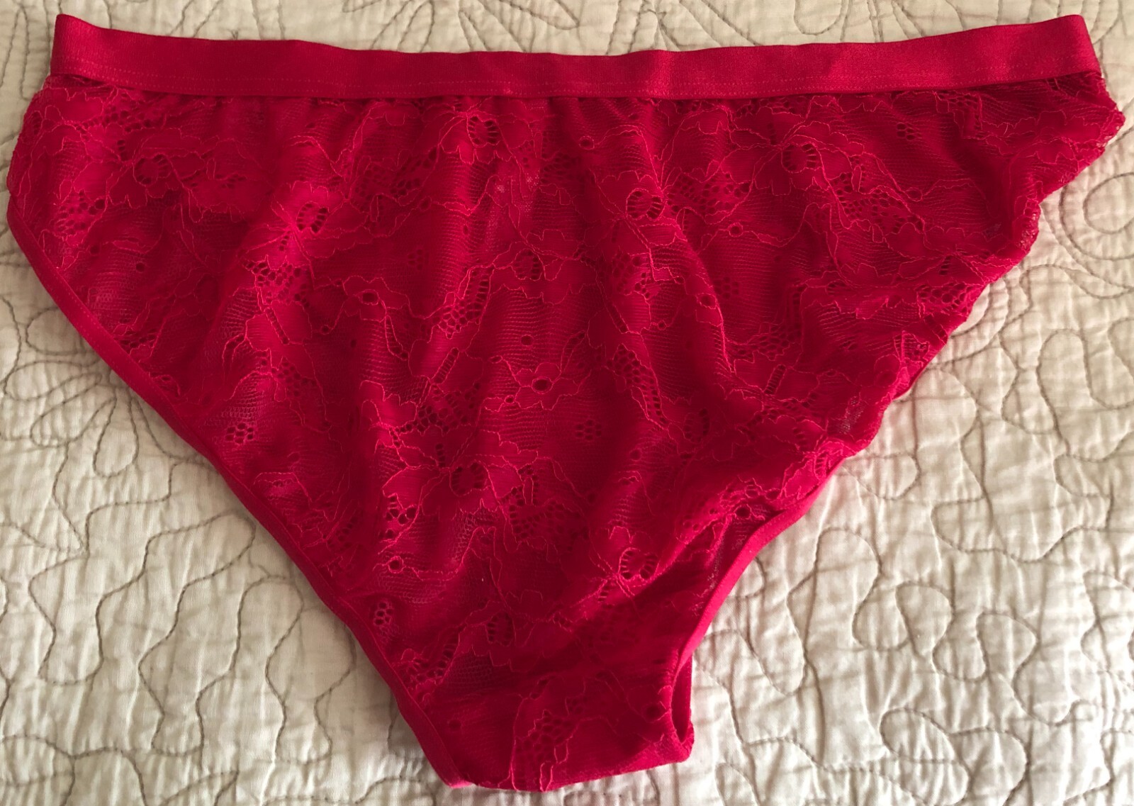 Women's Red Lace Bikini Panty Ambrielle Limited EditionSize Small (5