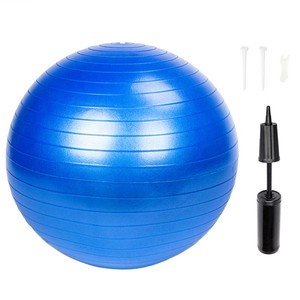 gym ball ebay