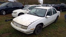 Rear Bumper Fits 95-96 Chevy Corsica Oem