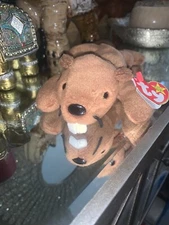 Ty Beanie Baby 1995 Bucky The Beaver (Retired) PVC. Rare Errors 🚨