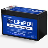 12.8V 10Ah 20Ah 30Ah 50Ah Lifepo4 Lithium Batterie Bms Akku Aussenborder Camping