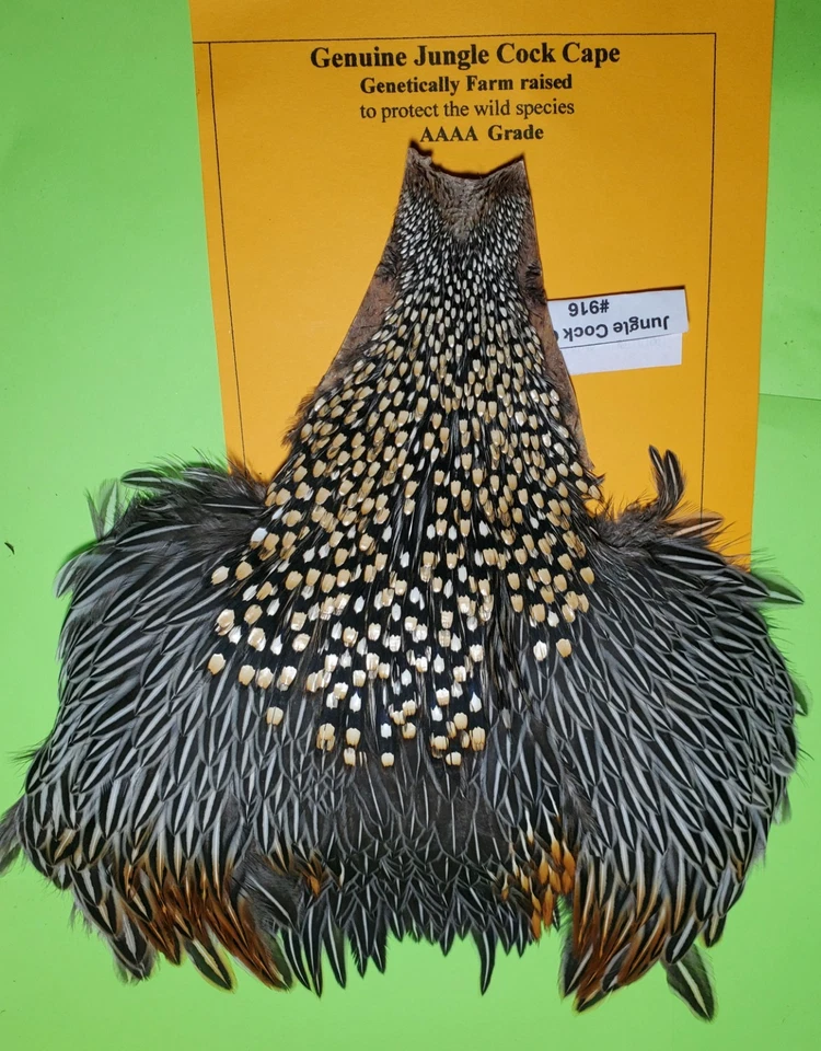 Jungle Cock Cape SUPER   AAAA 916 - Image 3 of 4