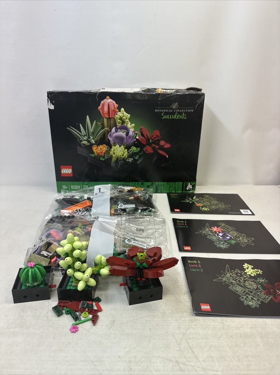 valerian plant seeds Valerian Seeds