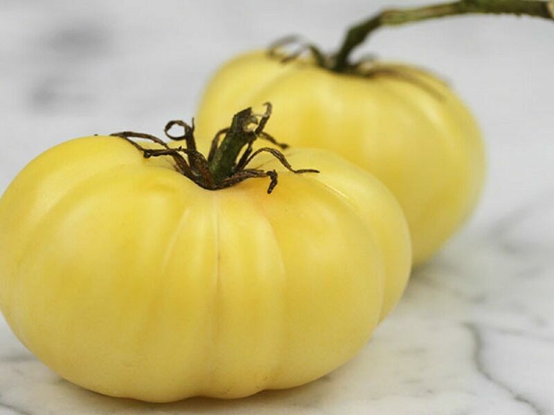 TOMATO WHITE BEAUTY - 400 SEEDS BULK