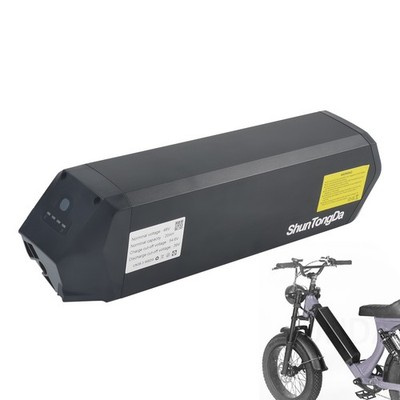 Reention Dorado ebike battery 48V 20Ah li ion battery for Addmotor M-5600 ebike