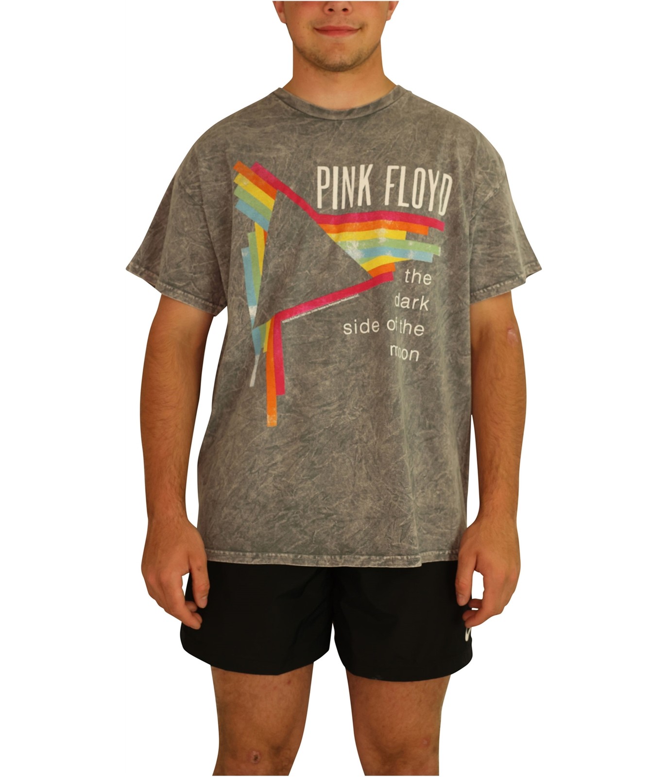 Мужская футболка с изображением Pink Floyd цвет серый XL 3990₽