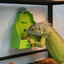 Reptile Feeding Bowl Feeder for Reptile Reptile Corner Feeder with Suction Cup