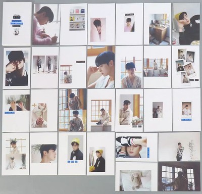 Character Card Cha Eun-woo (ASTRO) Form Photo Set (28 pieces) Dicon Boy Issue