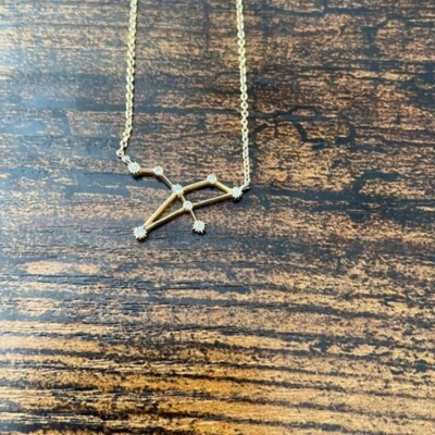 Local Eclectic Leo Zodiac Necklace