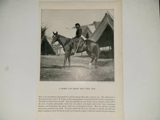 Lieutenant Colonel C.B. Norton Horse 1911 Civil War Picture