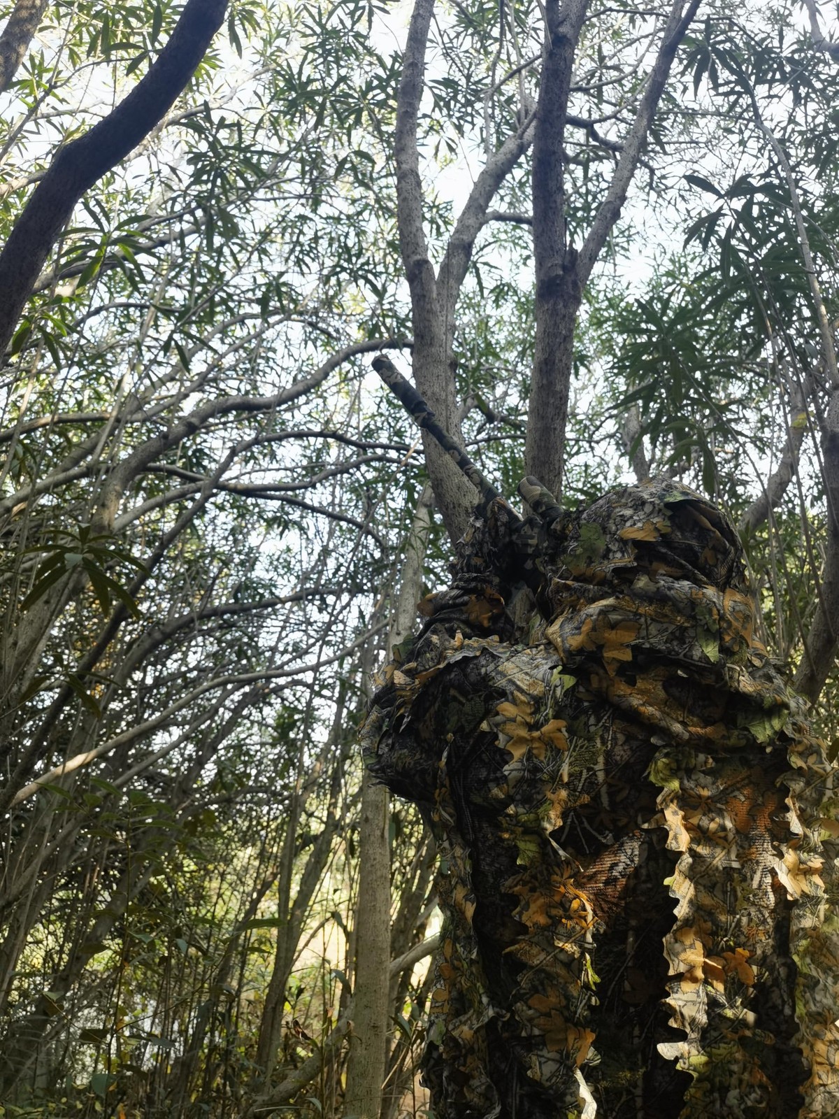 Ghillie Suit for Men - Complete Set with Full Face Mask & Gloves | Perfect fo...