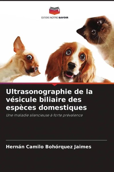 HernáN Camilo BohóRquez Jaimes | Ultrasonographie De La VéSicule Biliaire Des...-image