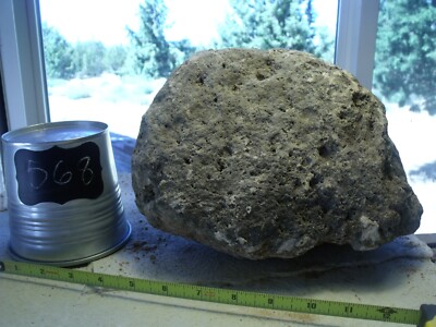 XLarge Pumice Stone Terrarium Floating Natural Rock Garden Volcanic Plant #568