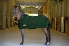 Kensington Poly Cotton Stable Sheet Mini Fit 54'' Hunter Green