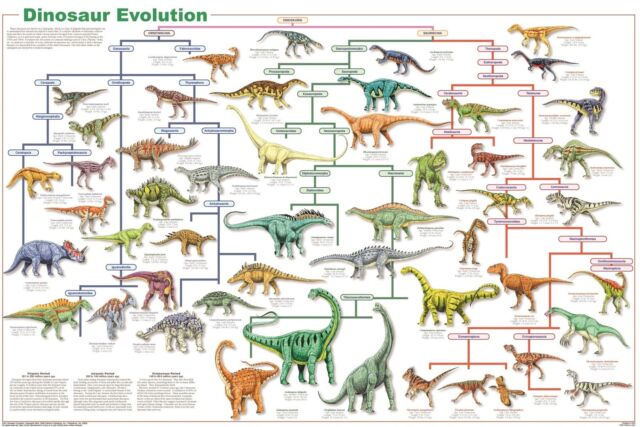 Dinosaur Names And Pictures Chart Printable