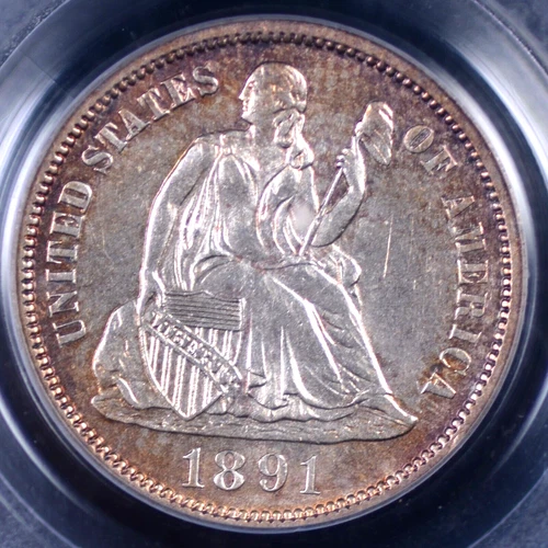 1891 SEATED LIBERTY DIME PCGS MS 63 AN ATTRACTIVE MAUVISH AMBER HALO FRAMES