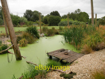 Photo 6x4 Wader Shore, Slimbridge Wetland Centre Shepherd's Patch Wader S c2019