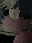 Vintage  mattel skipper doll clothes lot — photo 9