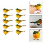 Set of 10 Mini Birds for Garden Wedding Decoration with Colorful Feathers