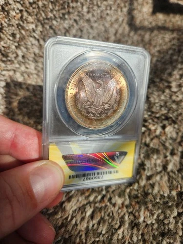 1885 Morgan Silver Dollar ANACS MS62 Beautiful Coin Nice Toning