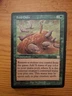 Magic the Gathering (MTG) Food Chain - Mercadian Masques - Rare - UNPLAYED