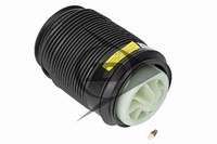 Luftfeder Federbein StossdÄMpfer Hinterachse Rechts - AIC 71197