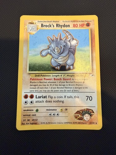 Brock's Rhydon