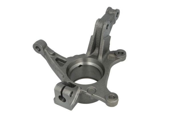 Reinhoch RH08-2039 Achsschenkel, RadaufhäNgung FüR Dacia Renault-image