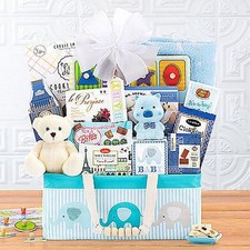 Bundle of Joy: Baby Boy Gift Basket