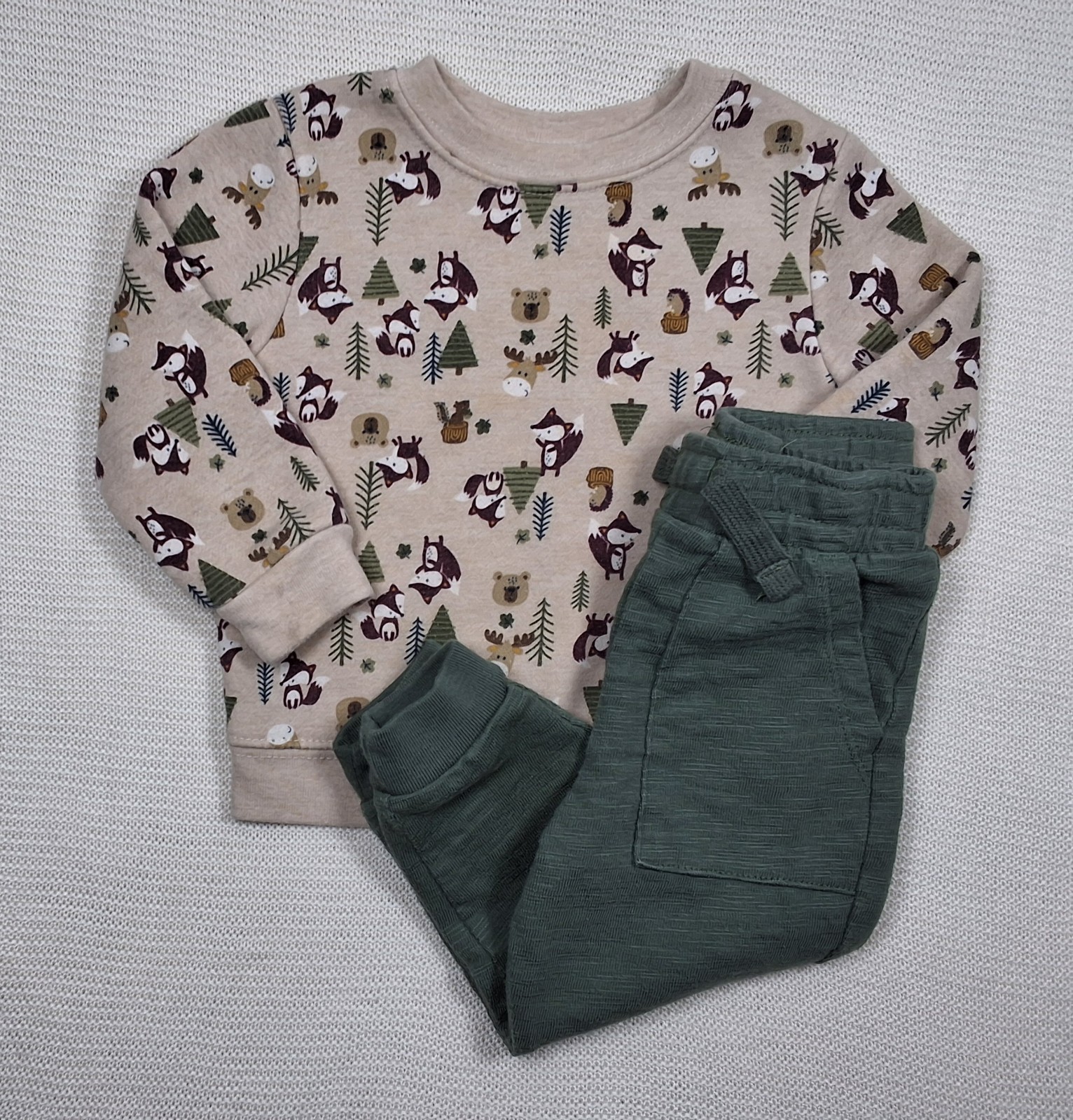 Garanimals 18M Baby Boy Forest Print Crewneck Sweatshirt & Jogger Pants Set