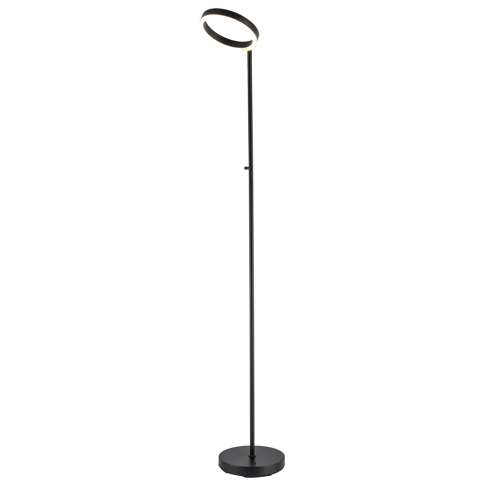 Modern LED Halo Ring Floor Lamp in Matte Black with CCT Dimmer Button by Happ...