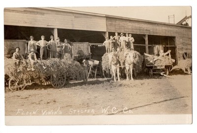 Real Photo Postcard RPPC Float Vining Stacker W.C. Co Men Horse Drawn Wagons