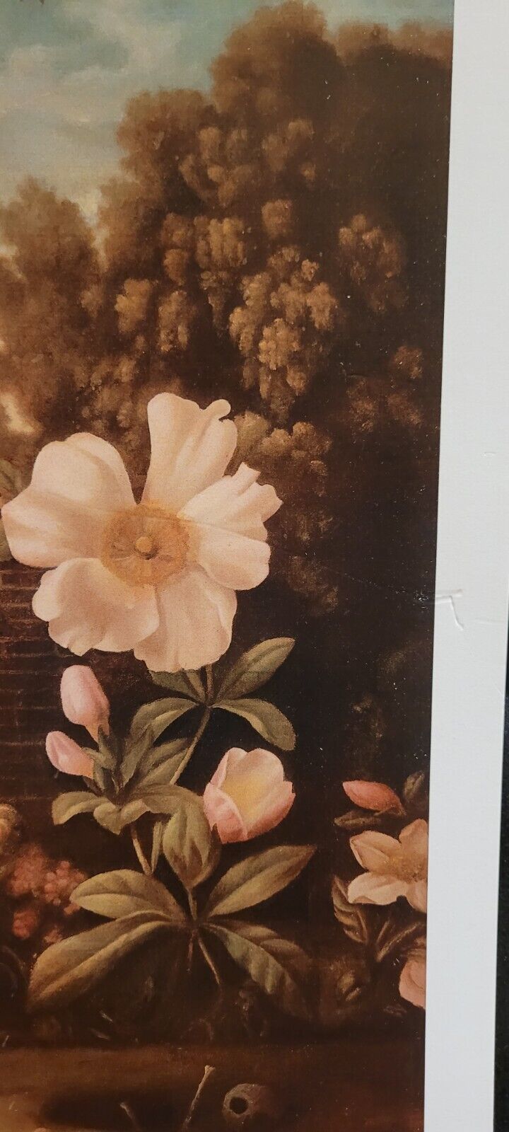 Picture 23 of 24