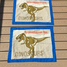 Tyrannosaurus Rex Pillow Standard Sham Dinosaur Striped Colorful Back A19