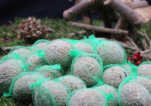 Anhaltiner Meisenknödel 100St. mit Netz mit Insekten Rindertalg Wildvögel Fett - Bild 5 von 7