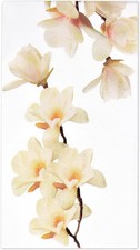 90 Floral White Magnolia Blossom Guest Napkins 3 Ply Disposable Paper Spring