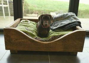 dog bed with feet
