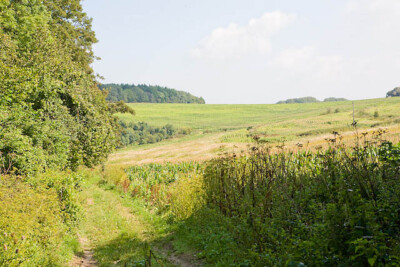 Mudless Photo 6x4 Fields between High Wood and Mudless Copse Bowcombe/SZ4686 ...
