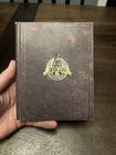 Rise of the Tomb Raider: 20 Year Celebration - PS4 + Artbook and Game - Tested