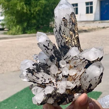 2.03LB Natural White Crystal Backbone Cluster Black Mineral Mud Specimen