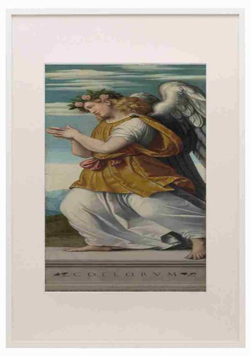 Moretto da Brescia An Adoring Angel A3 A4 Framed Print Picture - 第 1/1 張圖片