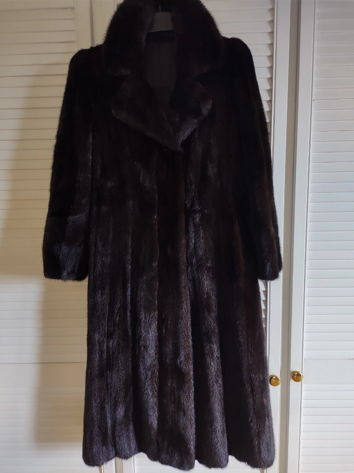 Picture 6 of 6