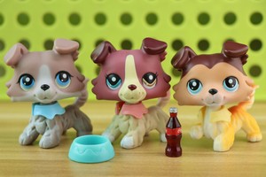 lps collie 58