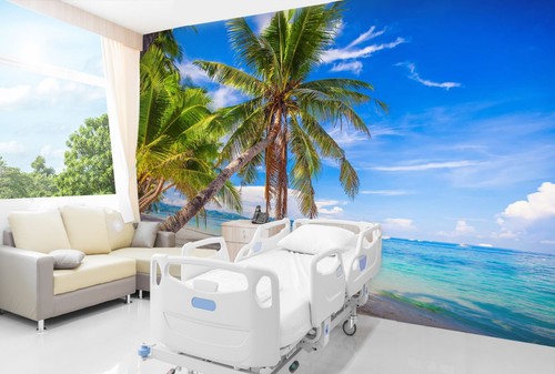 3D Coconut Tree A279 Business Wallpaper Wall Mural Self-adhesive Commerce Amy - Picture 2 of 11
